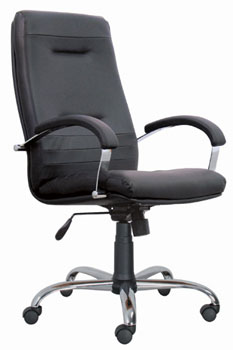 Ficus Steel Chrome