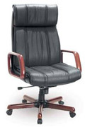 ������ ������������ Chairman 419