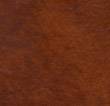 ���� VENEZIA CACAO