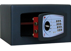 ��������� ���� Technomax GMT/3