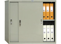 ������� ���� AMT 0891