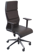 ������ ������������ Executive/B