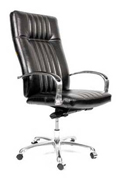 ������ ������������ Chairman 655