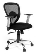 ������� ������ Chairman 451