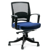 ������� ������ Chairman 284