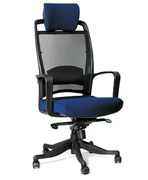 ������ ������������ Chairman 283