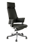 ������ ������������ Chairman 260