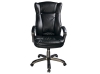 ������ ������������  CH-879AXSN/Black