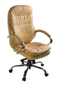������ ������������ T-9950AXSN/Ivory