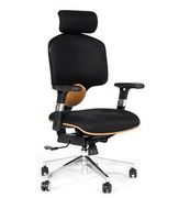 ������ ������������ Chairman 425